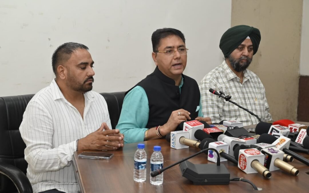 ‘मुख्यमंत्री रोशन पंजाब योजना’ लॉन्च: 13,000 गांवों में लगेंगी 3 लाख सोलर LED लाइटें