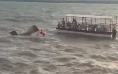 मध्य प्रदेश में बड़ा हादसा: सैलानियों से भरा क्रूज डूबा, कई लोगों की मौत