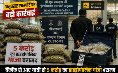 बैंकॉक से अमृतसर पहुंचे यात्री से 5 करोड़ का हाइड्रोपोनिक गांजा बरामद, एयरपोर्ट पर मचा हड़कंप