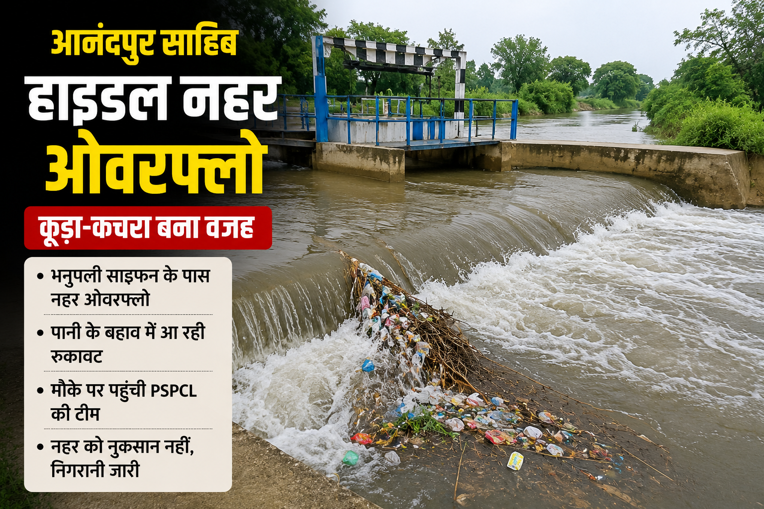 Feature Image