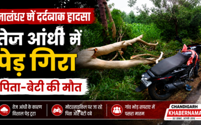 तेज आंधी बनी काल, पेड़ गिरने से पिता और 12 वर्षीय बेटी की दर्दनाक मौत