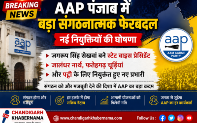 AAP का बड़ा दांव! पंजाब संगठन में बड़ा फेरबदल, कई नेताओं को मिली नई जिम्मेदारी