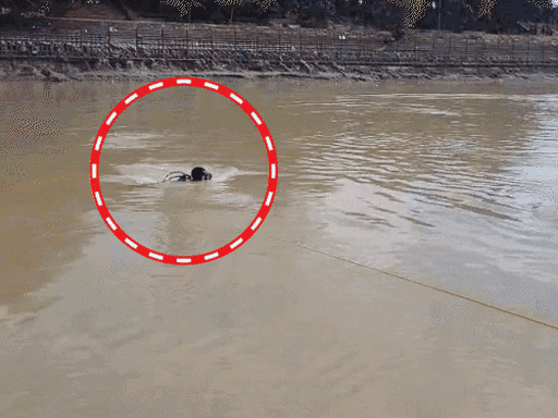 हरिद्वार में दर्दनाक हादसा: एक को बचाने उतरे 4 कांवड़िए, गंगनहर के तेज बहाव में सभी की मौत