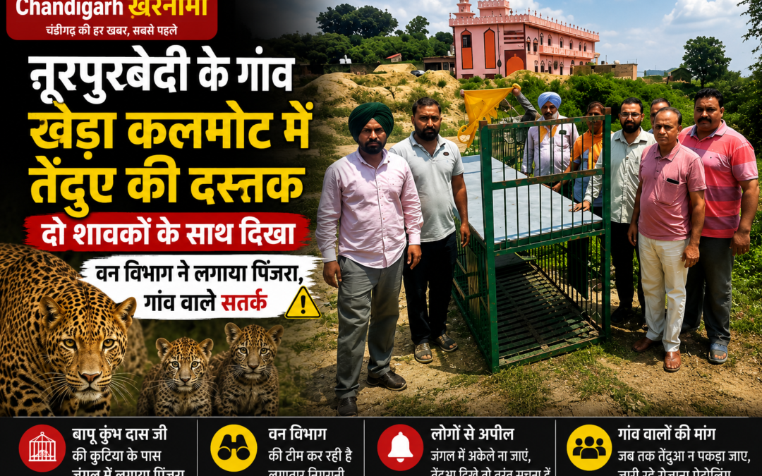पंजाब के इस इलाके में तेंदुए की दस्तक से दहशत, दो शावकों के साथ आबादी तक पहुंचा